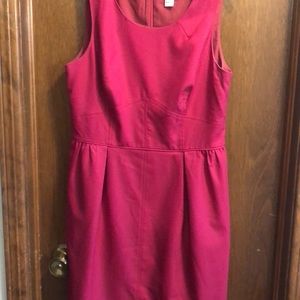 RasberryPink J.Crew Dress